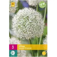Jub holland - bloembollen - Allium/Sierui Mount Everest - maat 16/18 - 3 stuks