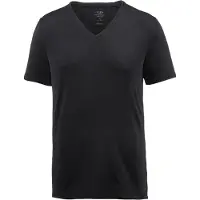 Icebreaker Shirt 'Anatomica SS' zwart
