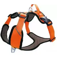 Petlando Hondentuig Outdoor Oranje- maat XL 82 – 106 cm.