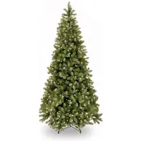 National Tree Company Poly Bayberry Slim Hinged verlichte kunstkerstboom - 243 cm - Groen - Ø114 cm - 1436 tips - 550 ledlampjes (warm wit) - Metalen voet