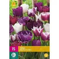 Jub holland - bloembollen - Tulpen Blueberry Mix - maat 11/12 - 15 stuks