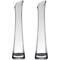 Hakbijl Glass vaas - Set van 2x stuks - 25 x 6 cm - flute model - transparant - bloemenvaas
