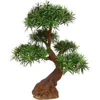 Maxifleur Kunstplanten Podocarpus Bonsai kunstplant 90cm - UV bestendig