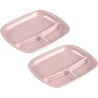 PlasticForte vakjes diner borden - Set van 8x stuks - roze - kunststof - 21 x 24 cm - 3 vakken - bbq en camping