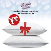 Fabiola Dormi medium veren hoofdkussen set van 2 stuks downpass