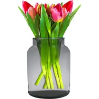 Hakbijl Glass Bloemenvaas Shape - transparant - eco glas - 19 x 25 cm - Melkbus vaas