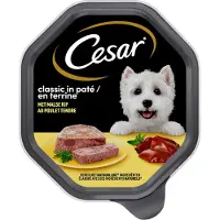Cesar 20x Hondenvoer - Classic - Kip in Paté - Maaltijdkuipjes 150g
