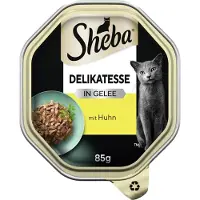 Sheba 10x delicatesse in gelei 85 g kip