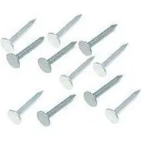 Homefix Asfaltnagel verzinkt 3.0x25mm 350 gram. . Kopspijkers.