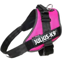 Julius-K9 IDC Powertuig/Harnas - Mini-mini/40-53cm - XS - Donkerroze