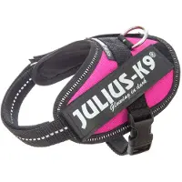 Julius-K9 IDCPowertuig, 3XS - Baby1, donkerroze