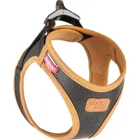 Curli Harnas Apple Leer, 2XS, Zwart (XXS, Hond, Algemeen), Kraag + Leiband