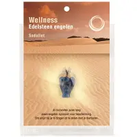 Ruben Robijn Engelenhanger op kaart sodaliet 1st -