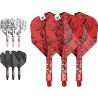 Target Ink Flight and Shaft Kit Nathan Aspinall Short