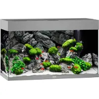 Juwel Aquarium Rio 125 Led Met Filter Grijs