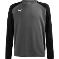 Puma Functioneel shirt 'Teampacer' donkergrijs / zwart / wit