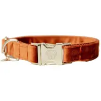 Kentucky Dogwear - Velvet Hondenhalsband - Oranje - Maat L - 42-68cm - Hondenriem