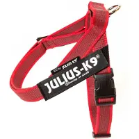 Julius-K9 riemtuig rood maat 0