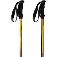 Asolo Climber Stokken