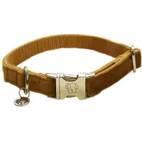 Kentucky Dogwear Velvet Halsband / Hondenhalsband - Mosterd - Maat: XL - Nekomtrek: 45 - 75 cm