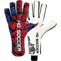 Ho Soccer Evolution Shield Keepershandschoenen