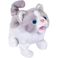 Simba Little Cat