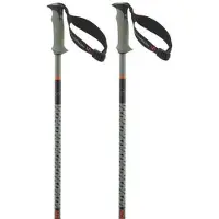 Salomon Polar Pro S3 Stokken