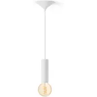Philips Hue Bundel: Witte Medium Pendellamp Koord - 3d Geprint Voor Filamentlampen + Warm Tot Koelwit Licht G93 Globe Filamentlamp