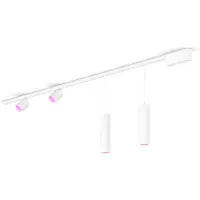 Philips Perifo Basisset Voor Recht Plafond (2 Spots, 2 Hanglampen)