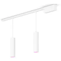 Philips Hue Perifo Basisset Voor Recht Plafond (2 Hanglampen)
