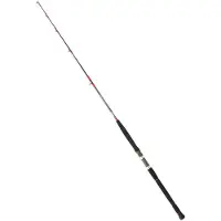 Daiwa Saltist Spinning Rod Zwart 2.21 m / 30-70 g