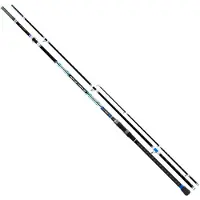 Colmic Araton Orata Bottom Shipping Rod Zilver 3.00 m / 50-300 g
