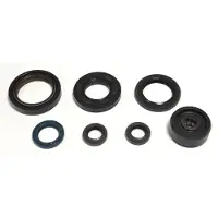 Athena Motorolieafdichtingset P400485400125