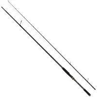 Seika Sf+ Sucubus Eva Spinning Rod Zilver 2.90 m / 10-42 g