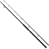 Shimano Fishing Beastmaster Ax Static Catfish Rod Zilver 2.80 m / 350 g