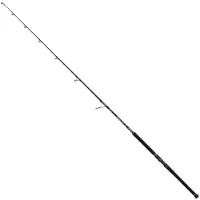 Penn Marine Brigade Offshore Spinning Rod Zilver 2.44 m / 100 g