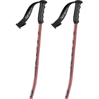 SCOTT Team Issue Gs Stokken
