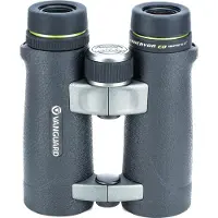 Vanguard Endeavor ED 1042