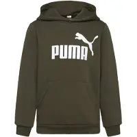 Puma Ess Big Logo Hoodie