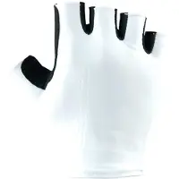 Bioracer Road Summer Korte Handschoenen