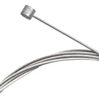 Capgo Blue Line Inox Remkabel 100 Eenheden