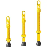 Syncros Paar Presta Gold Tubeless ventielen