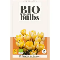 JUB - Crocus sp. romance bio