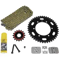 Ognibene 520-vx2 X Ring Did Ktm Exc 300 E 04-11 Transmissieset