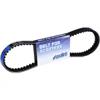 Polini Piaggio Zip 50 Vario Riem