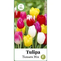JUB Tulipa Triumph mix bloembollen 35 bollen Tulp