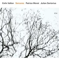 OUTHERE Colin Vallon Trio, Julian Sartorius, Patrice Moret - Samares (CD)
