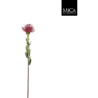 Easyplants Mica Decorations - Kunstbloem - Protea bordeaux - l61cm