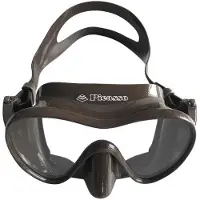 Picasso Uno Speervissen Masker