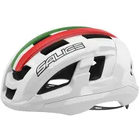 Salice Gavia Helm